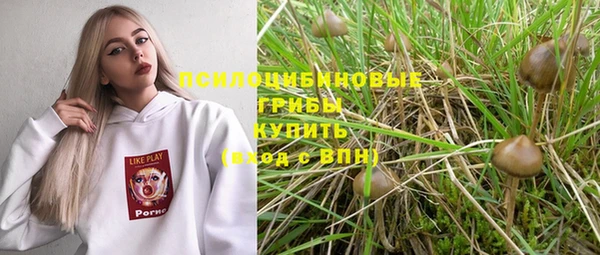 амф Лабытнанги