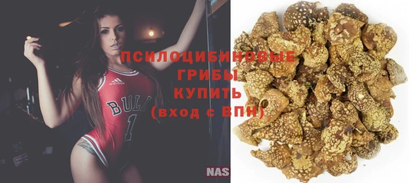 амф Лабытнанги