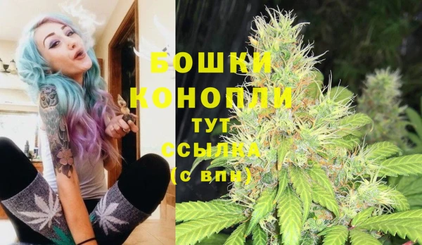 амф Лабытнанги